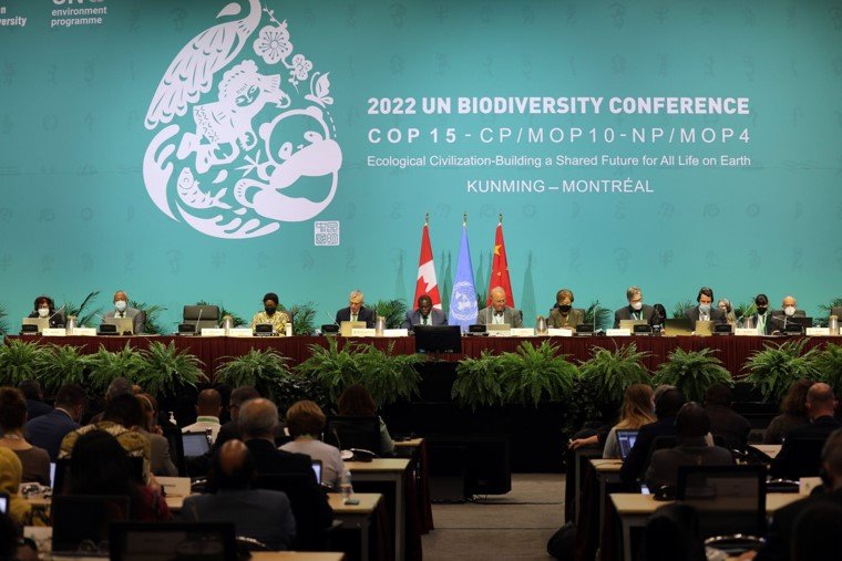 COP 15 Biodiversidad