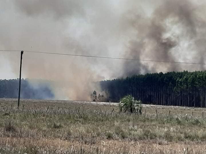 Corrientes | Por la sequía e incendios, prorrogaron la emergencia agropecuaria en la provincia