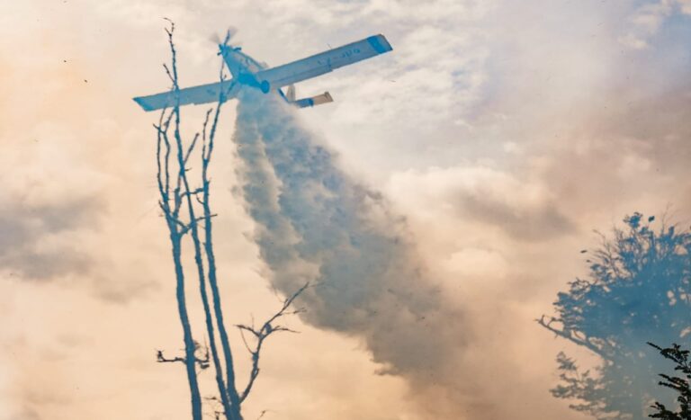 Incendios forestales en Argentina | Cinco provincias registran focos activos y se refuerza la ayuda con más brigadistas para los incendios en Tolhuin