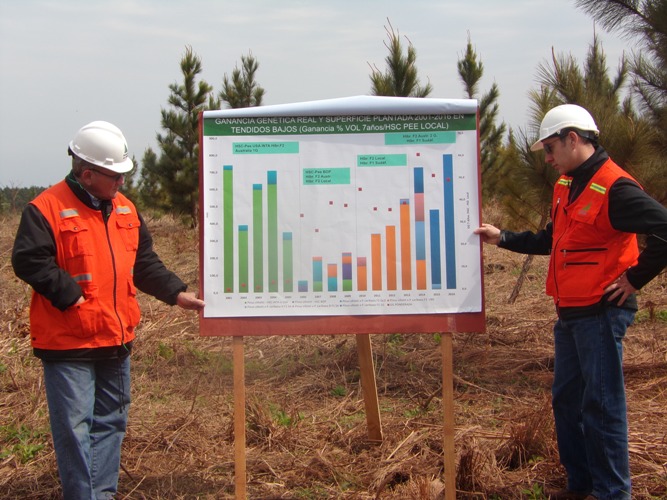 Profesionales de la región plantean a las facultades de La Plata y Misiones la necesidad de “revalorizar” la carrera de Ingeniería Forestal 