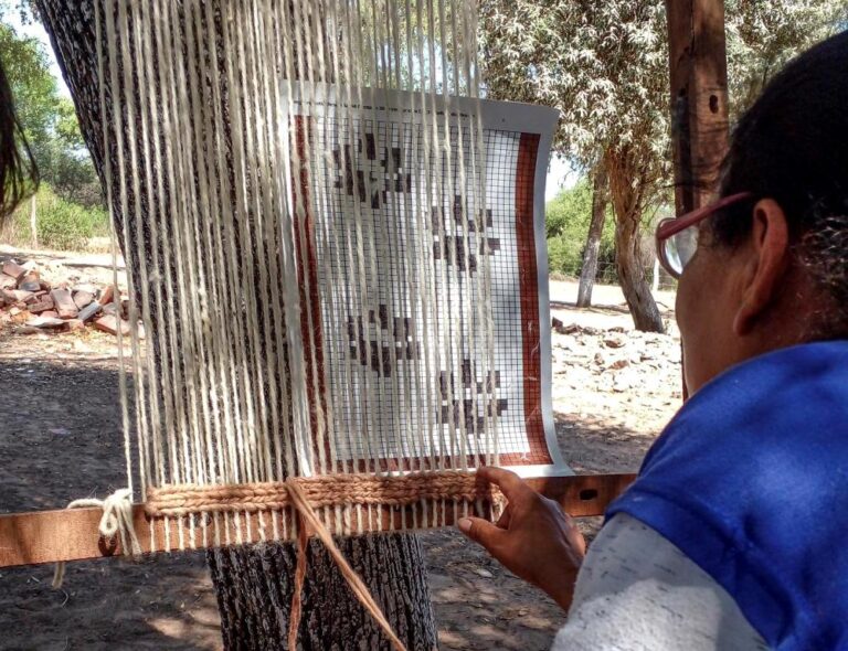 Herederas de saberes | En el Impenetrable chaqueño, Olga emprende y comparte con otras mujeres de parajes lindantes su oficio de tejedora