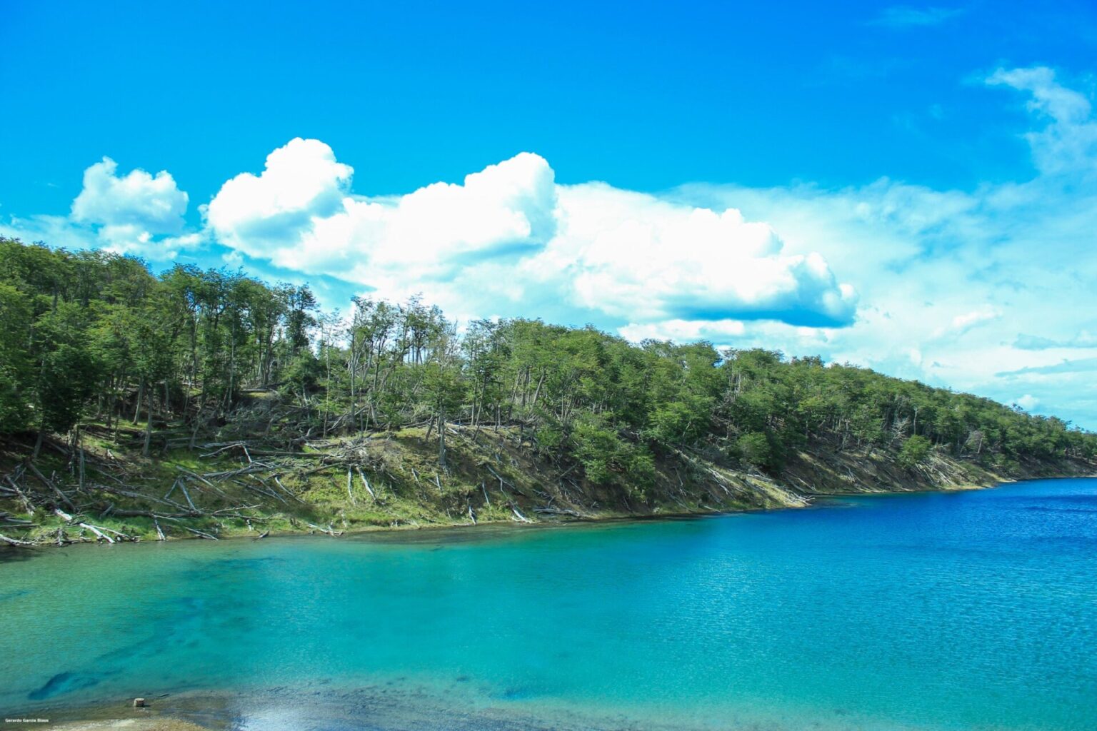 Tierra del Fuego | Bosques de lengas milenarias y estepas son el coraz&oacute;n de la Ruta del Fin del Mundo