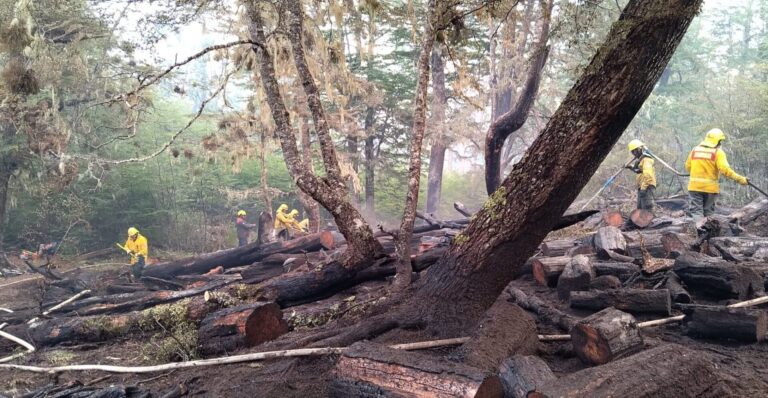 Tierra del Fuego en llamas | Declararon la emergencia ambiental y la prohibición para encender fuego se extenderá hasta 2024
