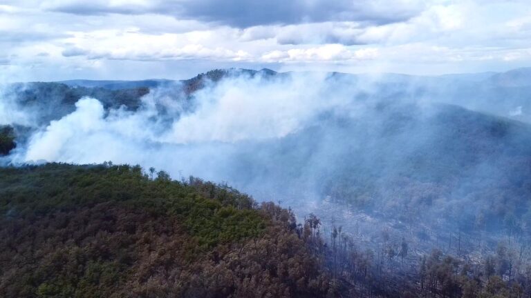 El día que el fuego irrumpió en la selva austral : una microhistoria ambiental del Siglo XIX