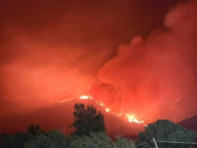 Chile | Conaf pide «apoyo» la ciudadanía para prevenir incendios forestales y entrega balance de combate a siniestros