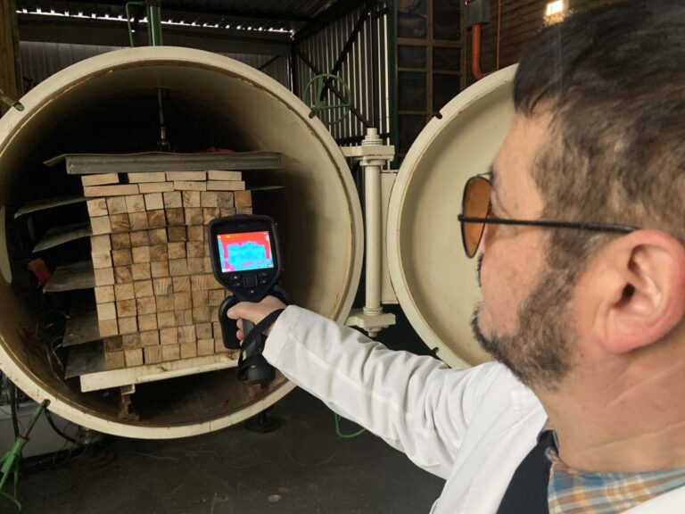 Innovación en Chile | Patentan sistema de sanitizado para eliminar plagas en madera de exportación