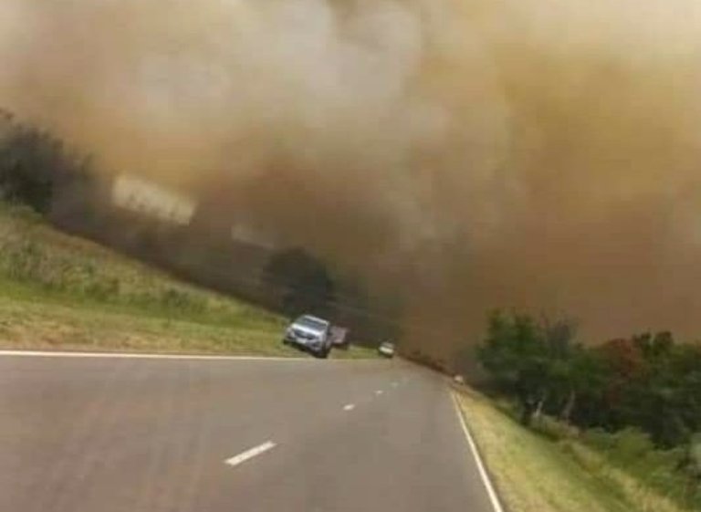 Corrientes en llamas | Combaten un gran incendio en forestaciones de pinos de un fideicomiso en Villa Olivari, sobre la Ruta Nac. 12