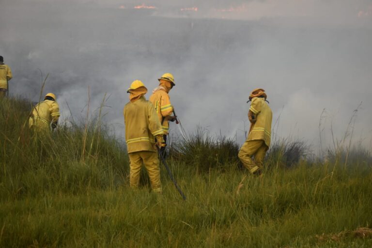 Corrientes en llamas | Valdés recorrió la zona de incendio forestal en Villa Olivari que sigue activo y llamó a la población a tomar mayor conciencia de los riesgos