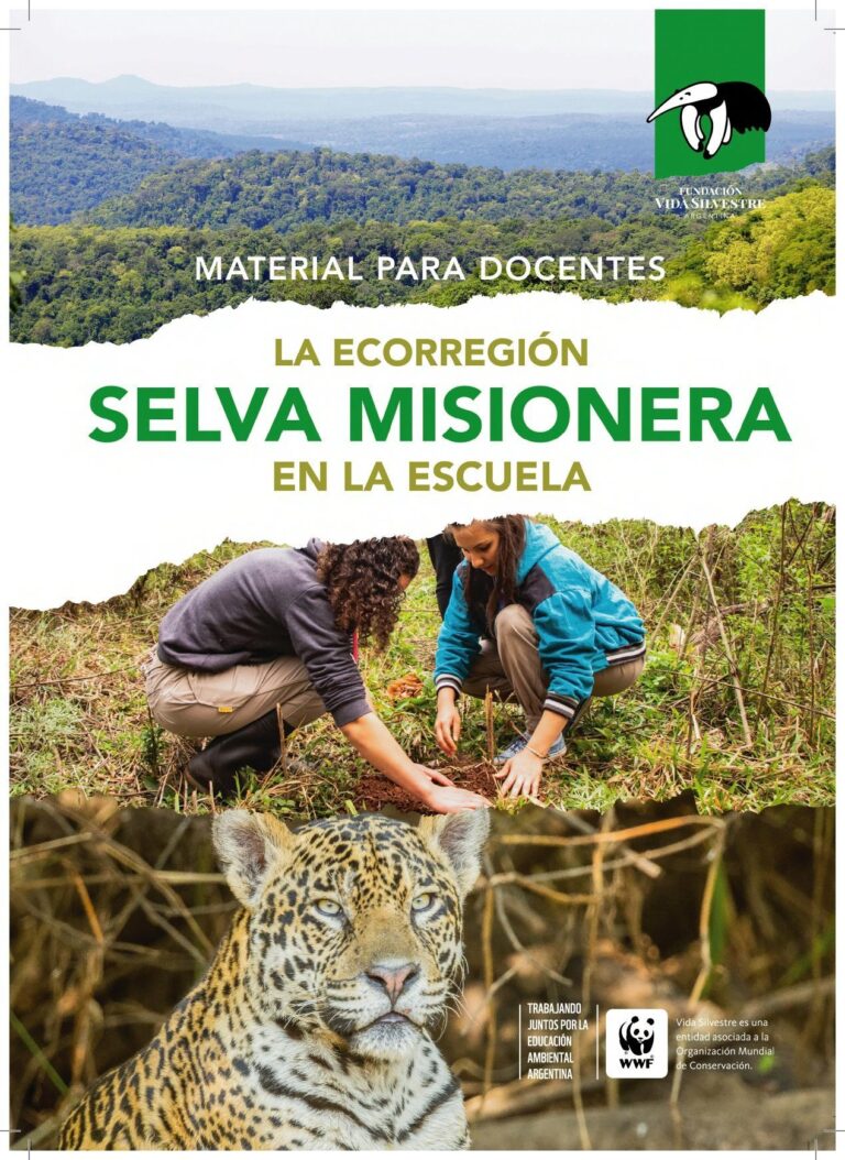 Día Mundial de la Educación Ambiental: La Fundación Vida Silvestre lanza su cuadernillo sobre la selva misionera