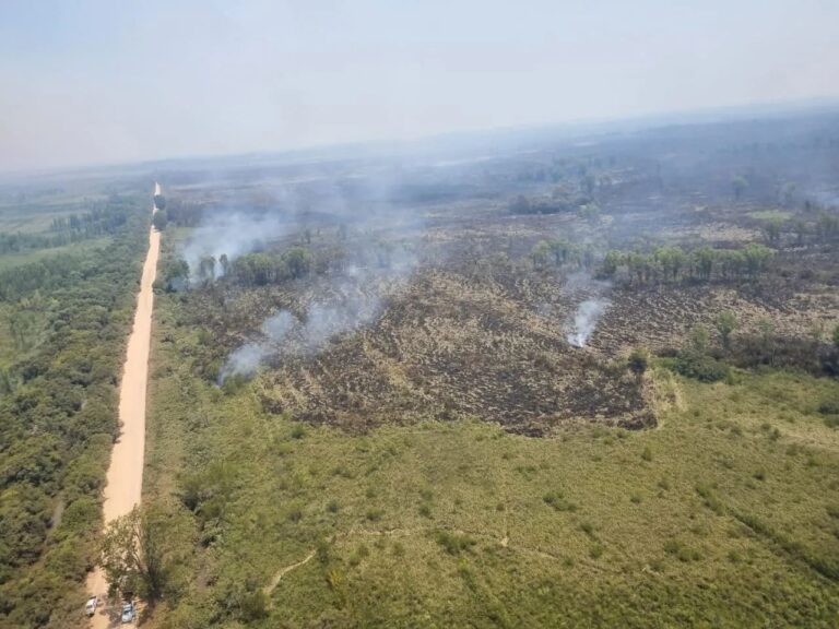 Buenos Aires | Tras siete días de intenso trabajo de combate contra el fuego, lograron controlar el incendio en el PN Ciervo de los Pantanos