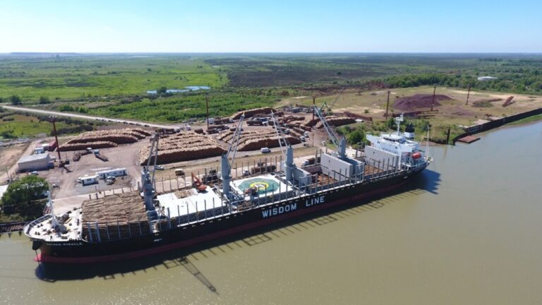 Entre Ríos | Desde el Puerto Ibicuy exportaron cerca de 150 mil toneladas de madera en rollizos con destino a China e India durante 2022