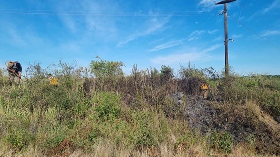 Prevención | Productores rurales advierten del riesgo de inicio y propagación del fuego en las banquinas de las rutas y tendidos de luz  por la falta de mantenimiento