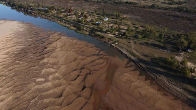 Crisis climática en Santa Fe | La bajante del río Paraná y la ola de calor hacen estragos en el ambiente y provocan millonarias pérdidas en la producción