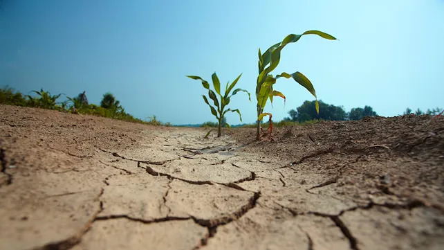 El fenómeno de La Niña: predicciones de expertos de la OMM apuntan a un trimestre con episodios débiles y transitorios