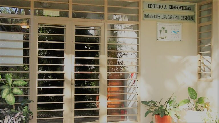 Corrientes | Nuevo banco de germoplasma de especies botánicas tropicales y subtropicales del IBONE, CONICET y UNNE