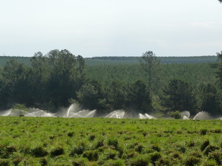 Cuidemos el agua | «Los países de las Américas enfrentan la urgencia de una acción conjunta hemisférica para la gestión hídrica efectiva, inclusiva y sostenible» planteó el IICA