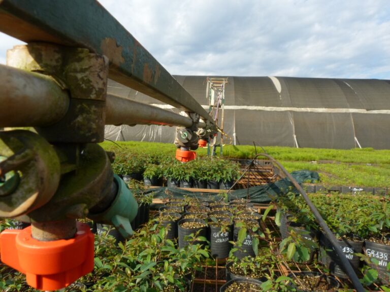 Día Mundial del Agua | El INTA propone una estrategia integral para transformar la gestión hídrica en el sector agroforestal argentino