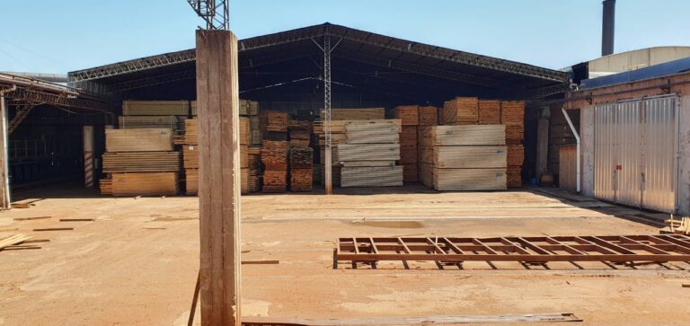 Sobrestock de madera en Misiones | No repuntan las ventas y se profundiza la crisis en la foresto-industria