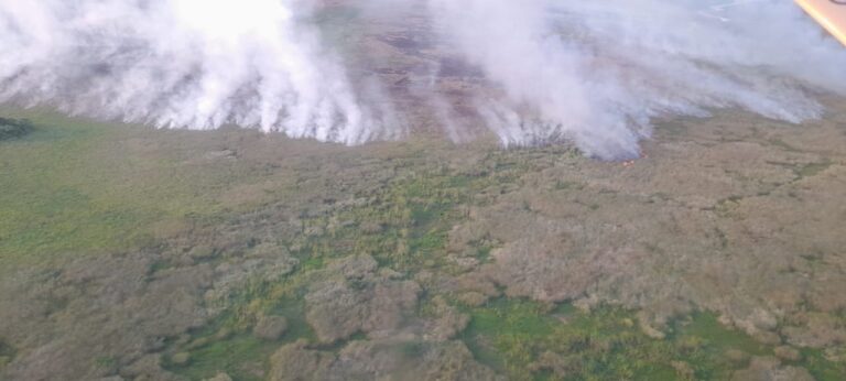 Corrientes en llamas | Dramáticos días de combate de incendios forestales en Alvear y Tapebicuá, y en zonas de los Esteros del Iberá