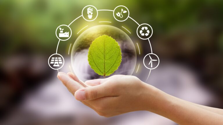 Economía regenerativa, la solución sostenible para la Agenda 2030