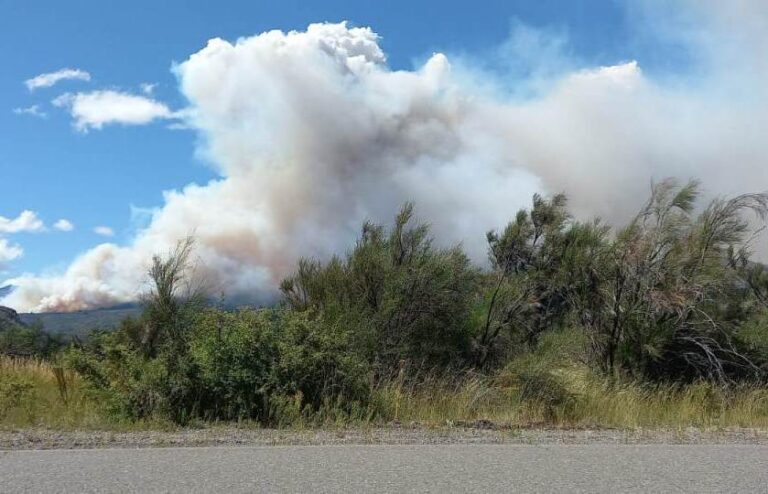 Chubut | Combaten desde el sábado un voraz incendio forestal en el Parque Nacional Los Alerces e investigan las causas que dieron su origen 