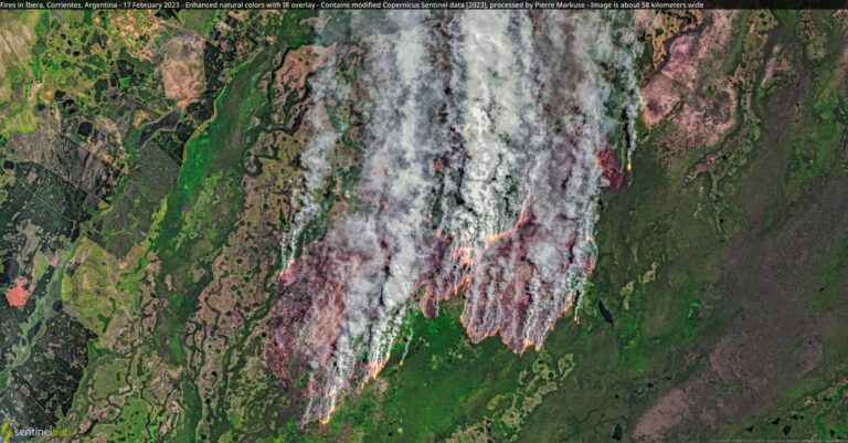 Arde el Iberá | El segundo mayor humedal del mundo y sus áreas protegidas se queman hace más de 60 días en Corrientes