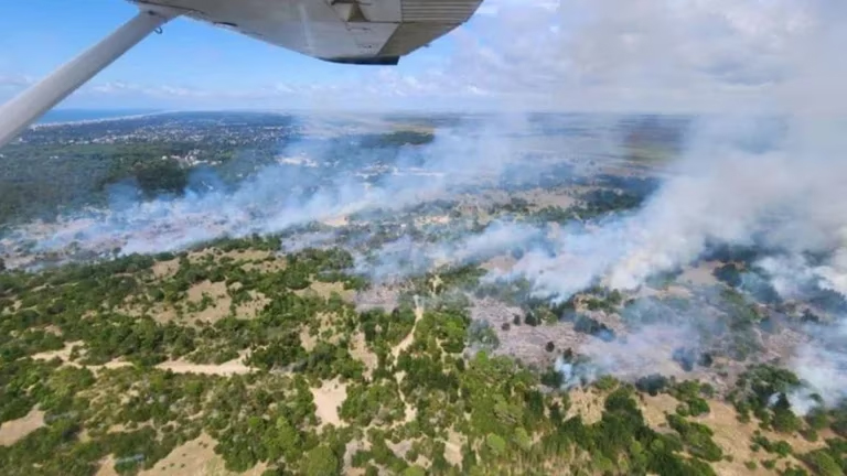 Villa Gesell y Cariló en llamas | Bomberos trabajan en combatir la propagación de un incendio forestal, hay poca visibilidad en la ruta costera