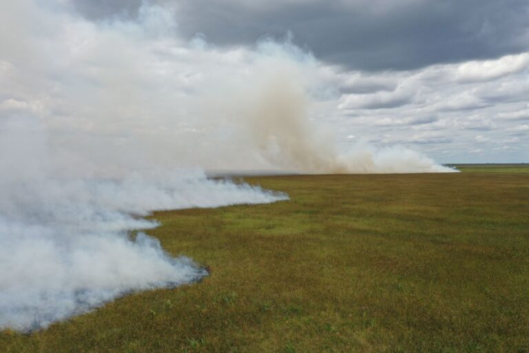 Corrientes en llamas | Ante la magnitud de los incendios en el Iberá serán de difícil extinción en el corto plazo y de graves daños ambientales