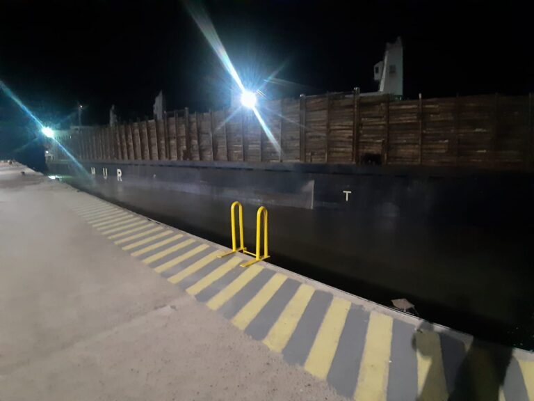 Entre Ríos | Desde el Puerto Ibicuy partió el cuarto buque en lo que va del 2023 con carga de rollizos de pino