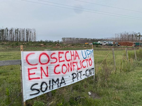 Uruguay | Trabajadores iniciarán un paro a UPM Forestal Oriental por mejora salarial al sector de cosecha mecanizada y extracción forestal