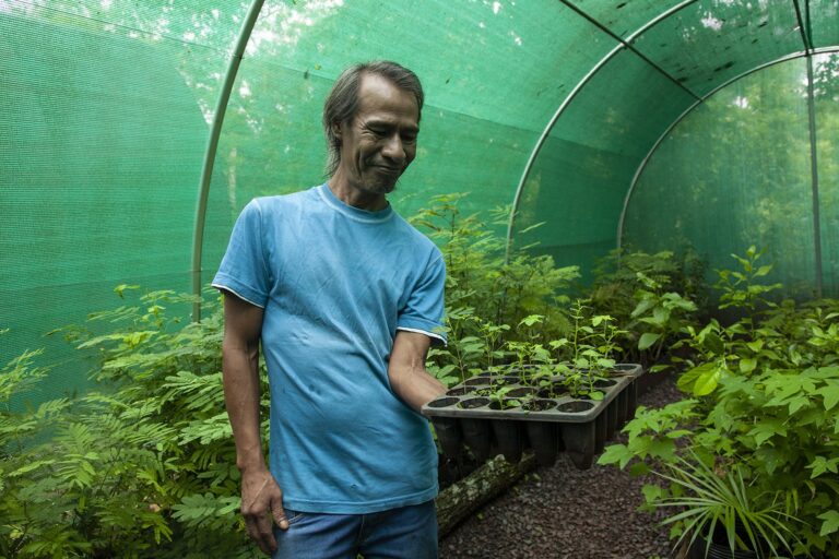 Misiones | Jasy Porá es la primera comunidad indígena del país en certificar ante el INASE como Área Productora de Semillas de Especies Nativas