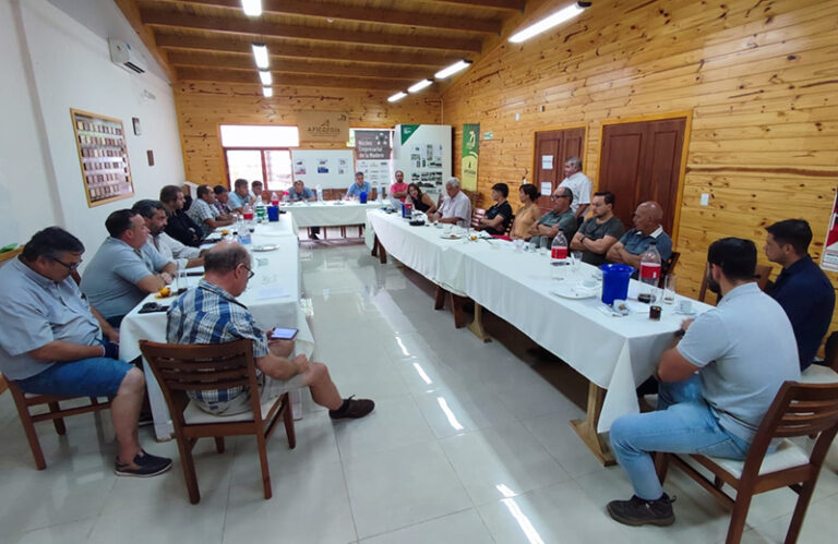 «A nivel nacional las internas partidarias paralizan decisiones que son cada día más urgentes en la industria forestal», indicaron PyMEs del NEA