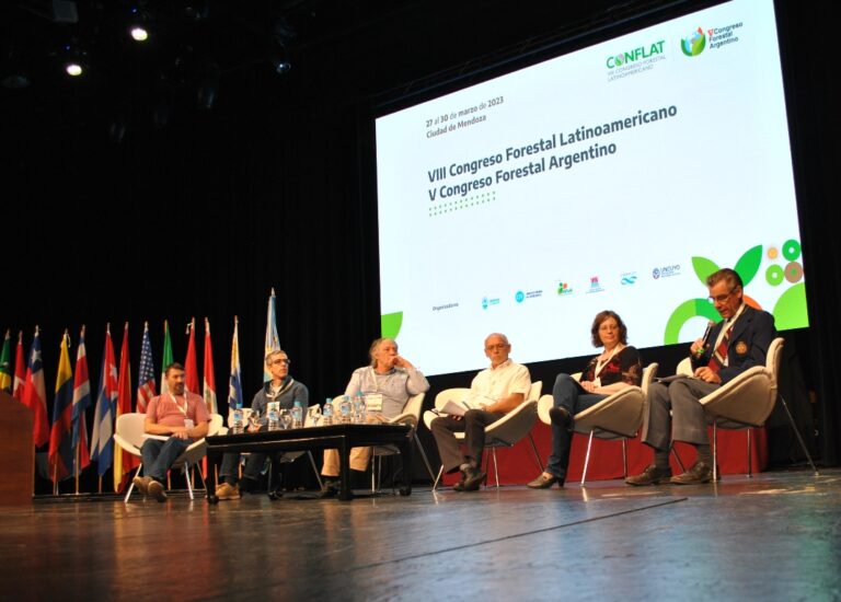 Con foco en la gestión forestal, bioeconomía y acción climática, concluyó el Congreso Forestal Latinoamericano y Argentino