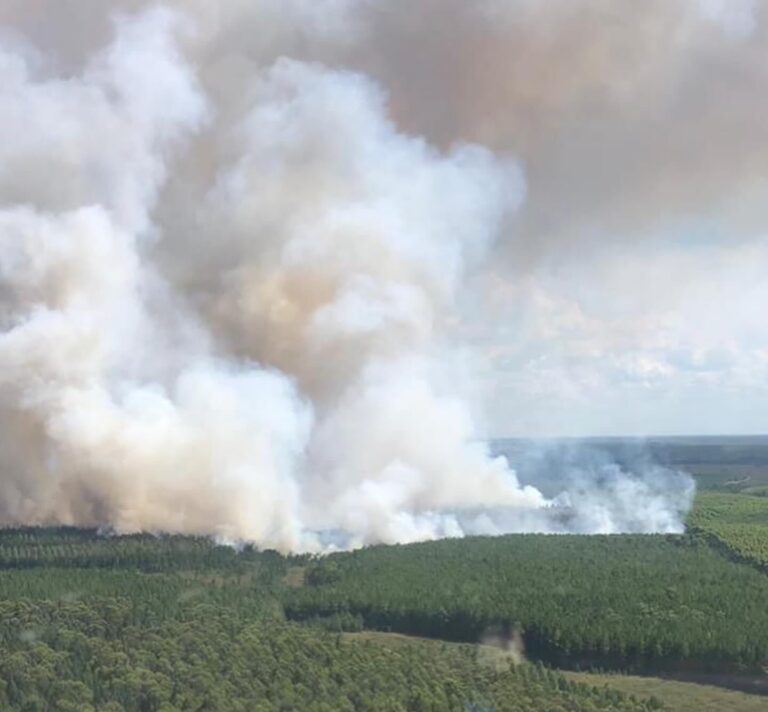 Corrientes en llamas | Combaten hace tres días contra un gran incendio forestal en zona de Ituzaingó y Villa Olivari : estiman más de 7 mil hectáreas afectadas y amenaza zonas pobladas