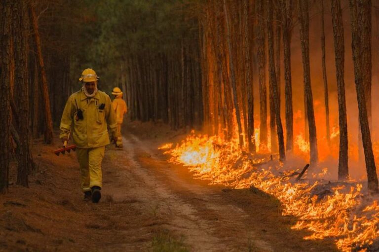Expertos afirman que el 80% del trabajo contra incendios forestales debe enfocarse en la prevención, y el resto en extinción