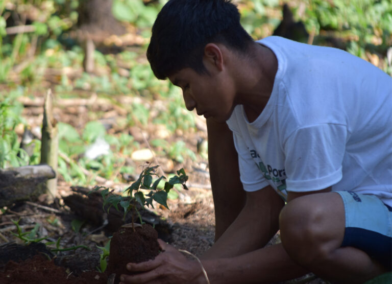 Mecanismos REDD+, Convenio de Diversidad Biológica y Agenda 2030: Su integración para alcanzar metas hacia el desarrollo sostenible en el territorio