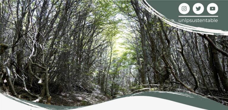 Agenda Virtual | Conferencia de Francisco Lloret sobre «Mortalidad forestal y resiliencia frente al cambio climático»