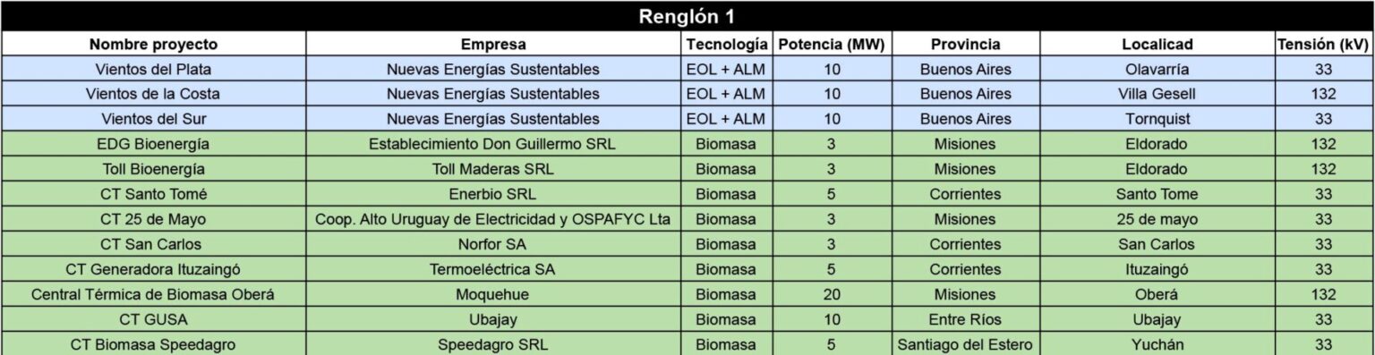 Transición energética | Presentaron proyectos por más de U$s 2.000 millones en licitación de energías renovables RenMDI