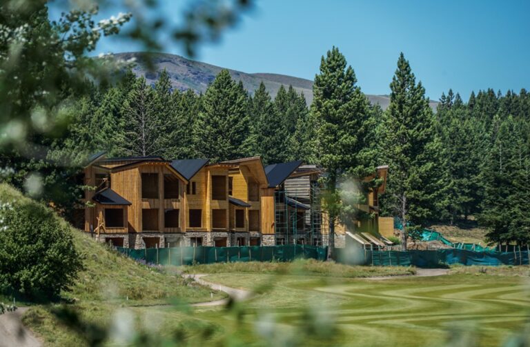 Lanzan oficialmente la plataforma «Construcción con Madera Argentina»