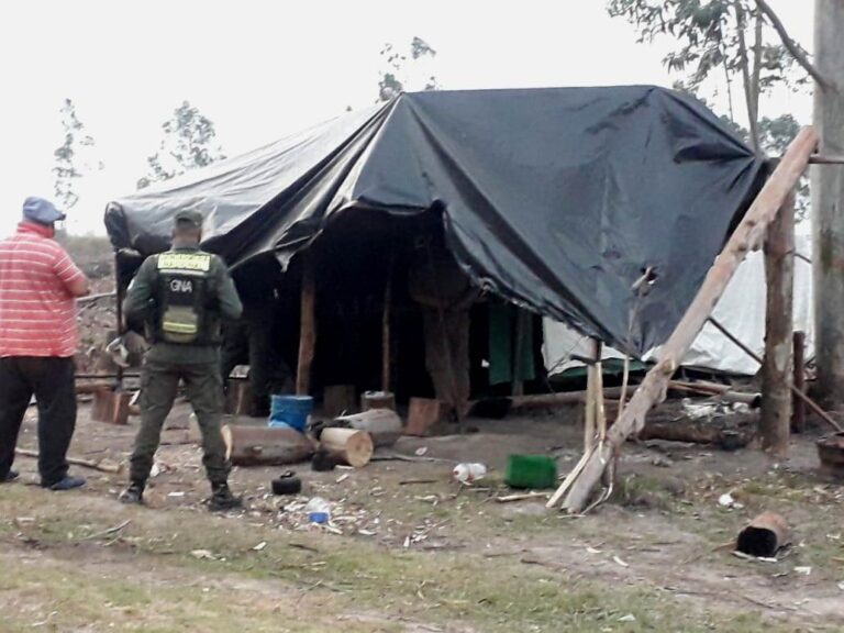 Trabajo rural | Capataz de un campo dedicado al raleo de eucalipto en Concordia fue condenado a 8 años de prisión por “Trata con fines de explotación laboral”