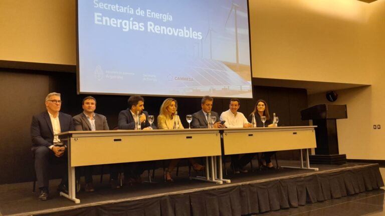 Transición energética | Presentaron proyectos por más de U$s 2.000 millones en licitación de energías renovables RenMDI