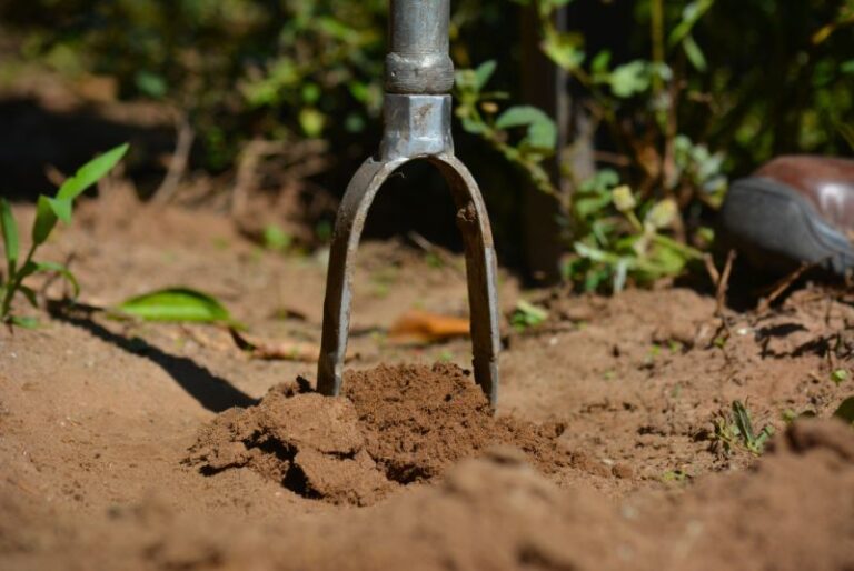 INTA | Los suelos de la Argentina almacenan el 2 % de la reserva mundial de carbono