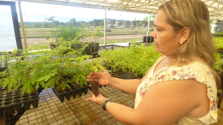 Destacada labor de la UNaM en la promoción y preservación de la biodiversidad en Posadas