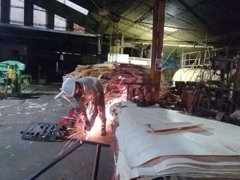 Misiones | “En San Vicente, habría un 90% de informalidad y explotación laboral en los pequeños y medianos aserraderos”, denuncian desde el SOIME