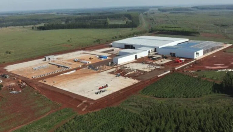 Corrientes | El mega aserradero de la firma austríaco-belga Acon Timber sería inaugurado a fines del 2023