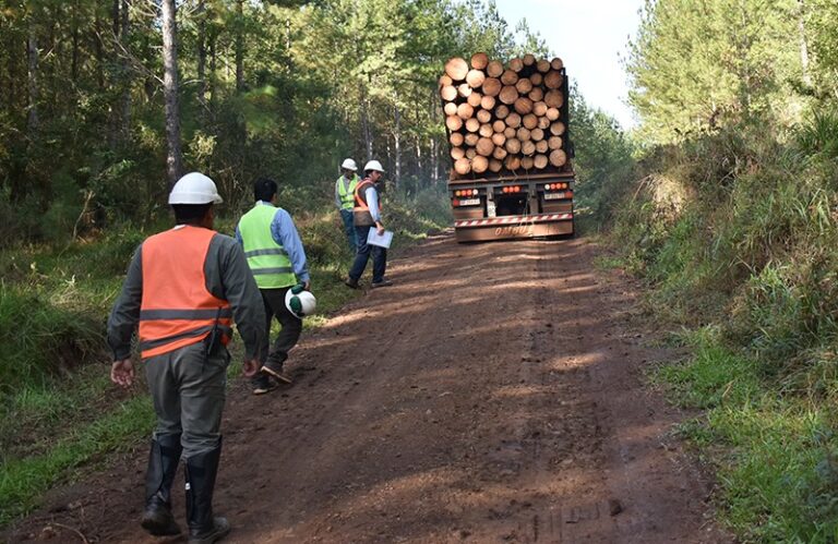 AFoA Misiones plantea que la nueva ley de certificación forestal genera incertidumbre y preocupación ante la falta de información técnica y de reglas del proceso de instrumentación 