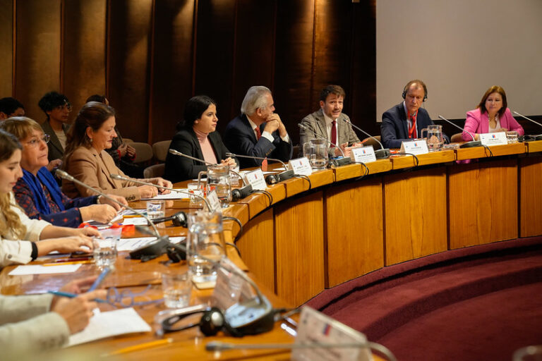 Transición energética: promueven en países de la región cerrar brechas de género en el acceso a la energía y aprovechar las capacidades de las mujeres