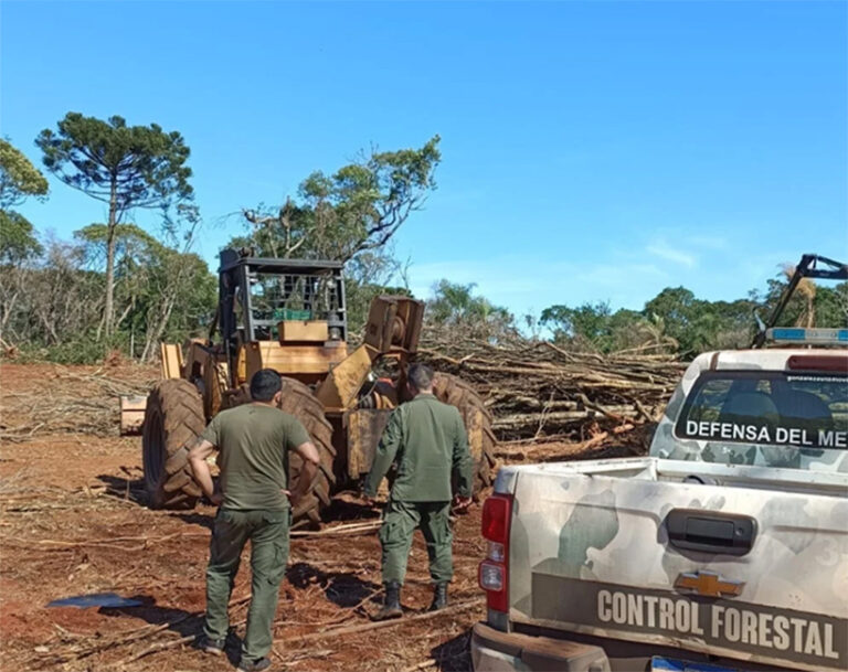 Misiones | Por un desmonte no autorizado en San Vicente, un empresario podría ser multado por más de $15 millones
