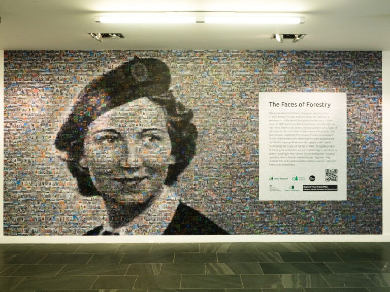 Madera con historia | El legado forestal de las mujeres se celebra en la nueva exposición en Grizedale Forest