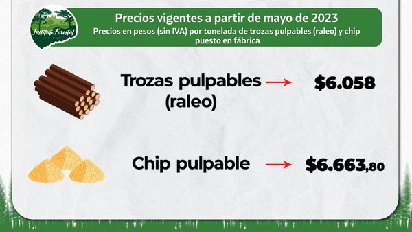 Misiones | Rigen desde mayo precios mínimos actualizados para tonelada de raleo, chip y rollos aserrables